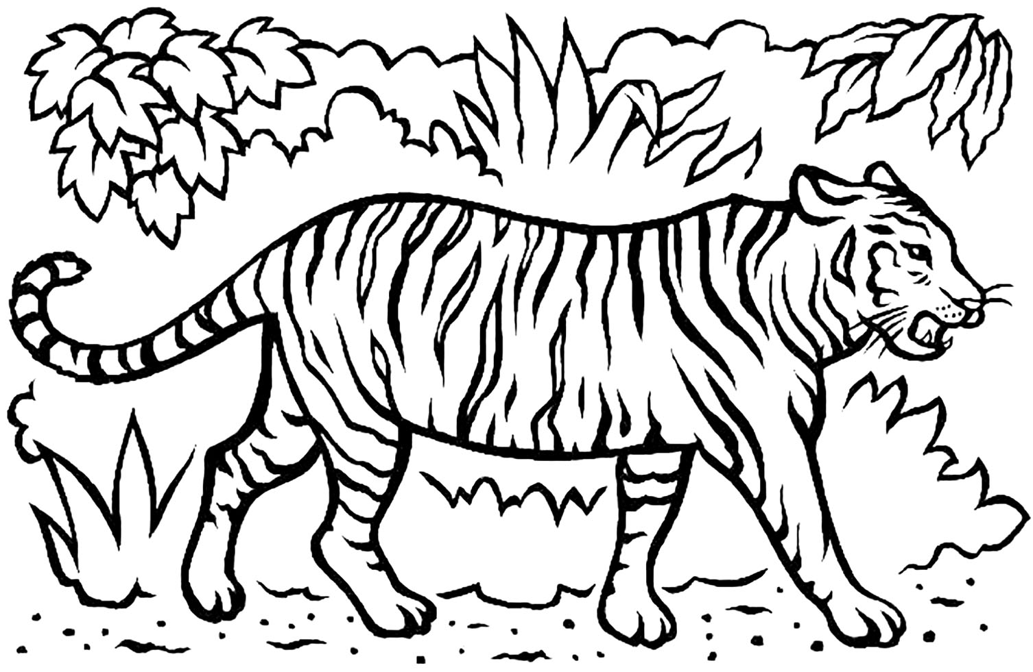 Adult Tiger Coloring Page