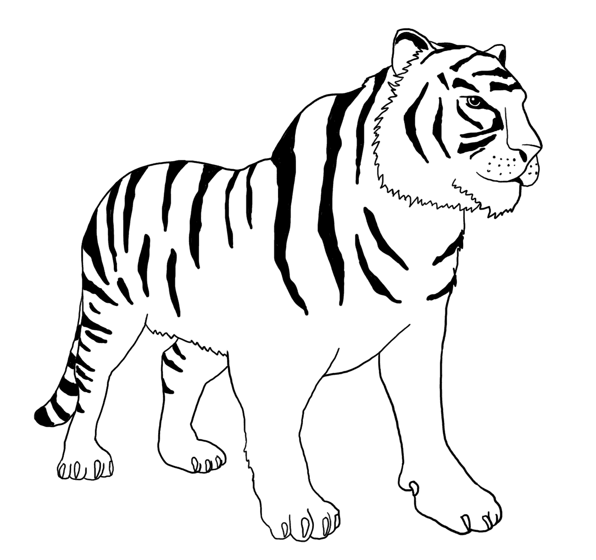 Bengal Tiger Coloring Page