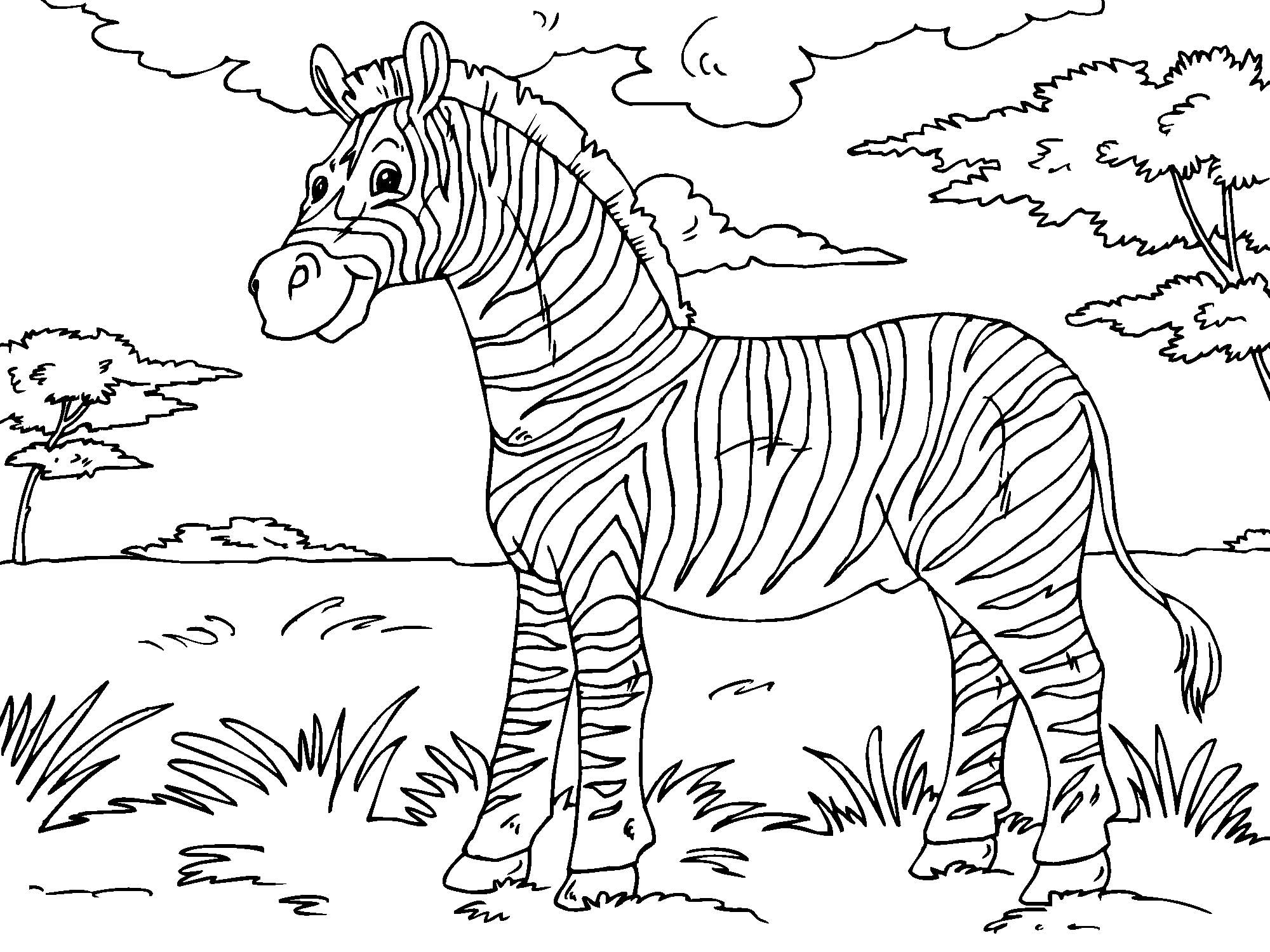 Realistic Zebra Coloring Page