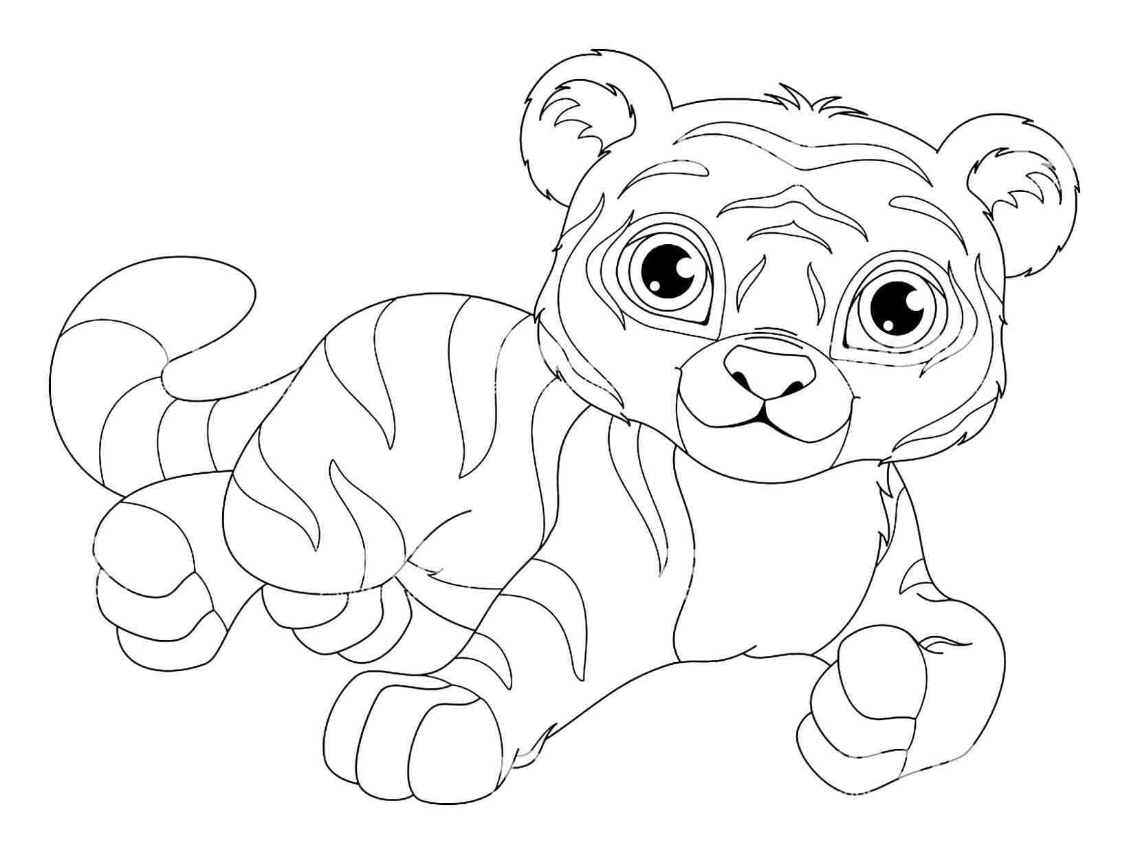 Tiger Drawing For Coloring