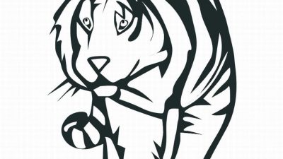 White Bengal Tiger Coloring Page