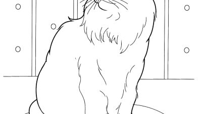 Realistic Cat Coloring Page